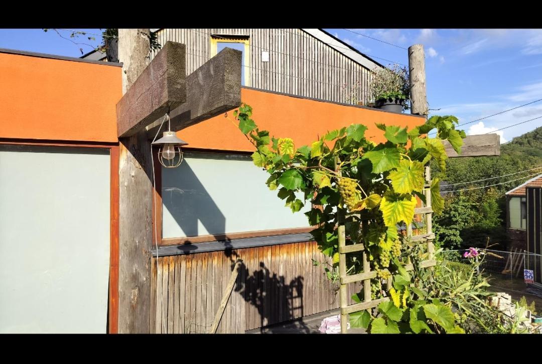 Gee Is Sharing Her Home Lüttich Exterior foto